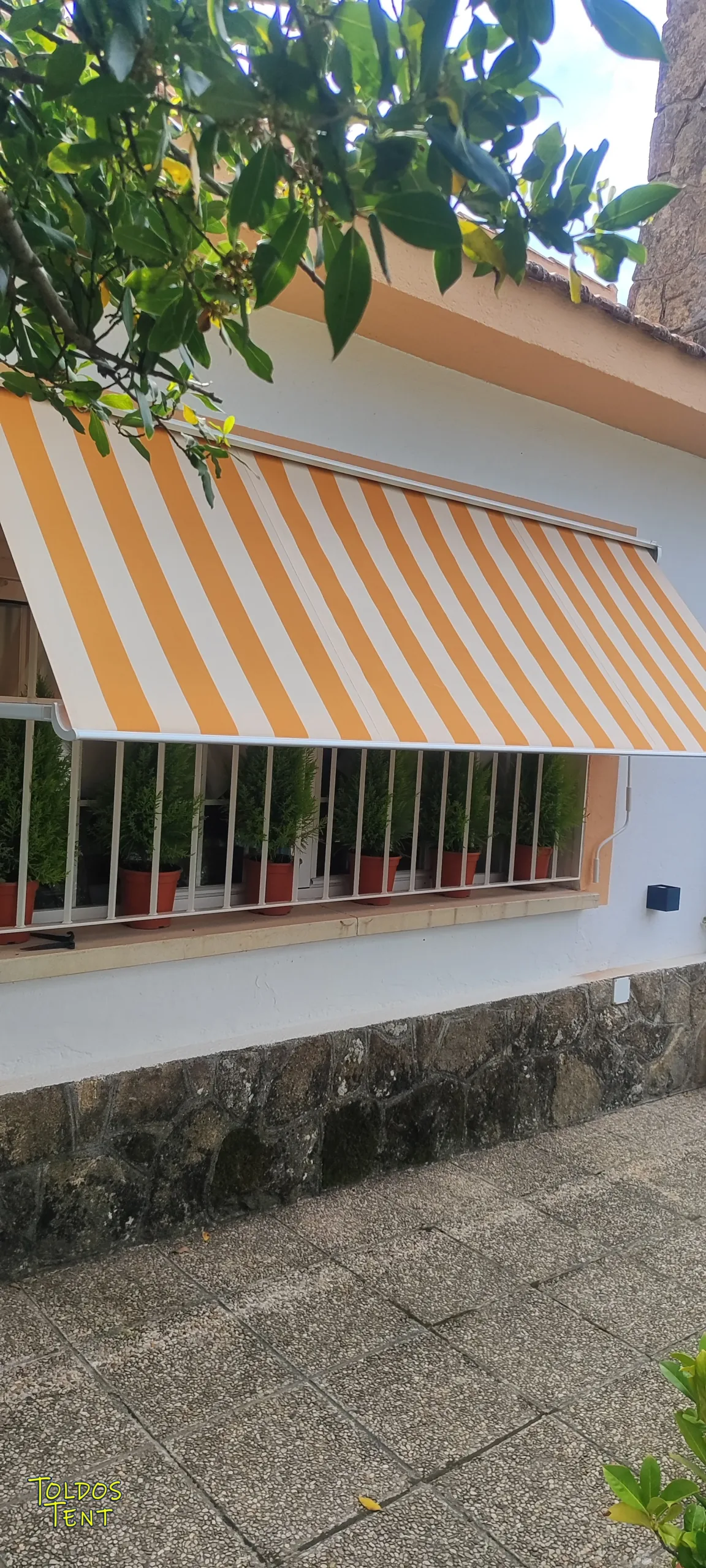 toldo-punto-recto-con-cofre-parla-01